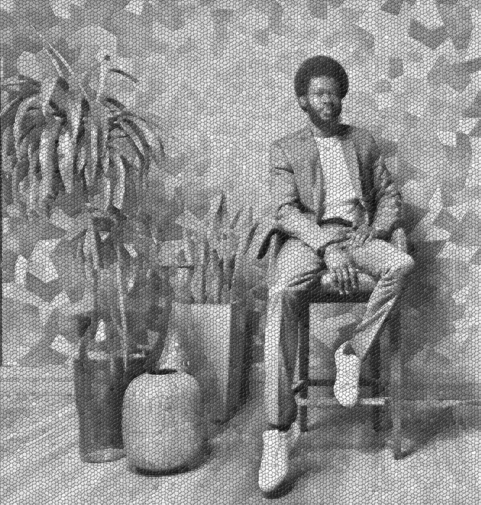 Un modèle de Negro Magnifico 