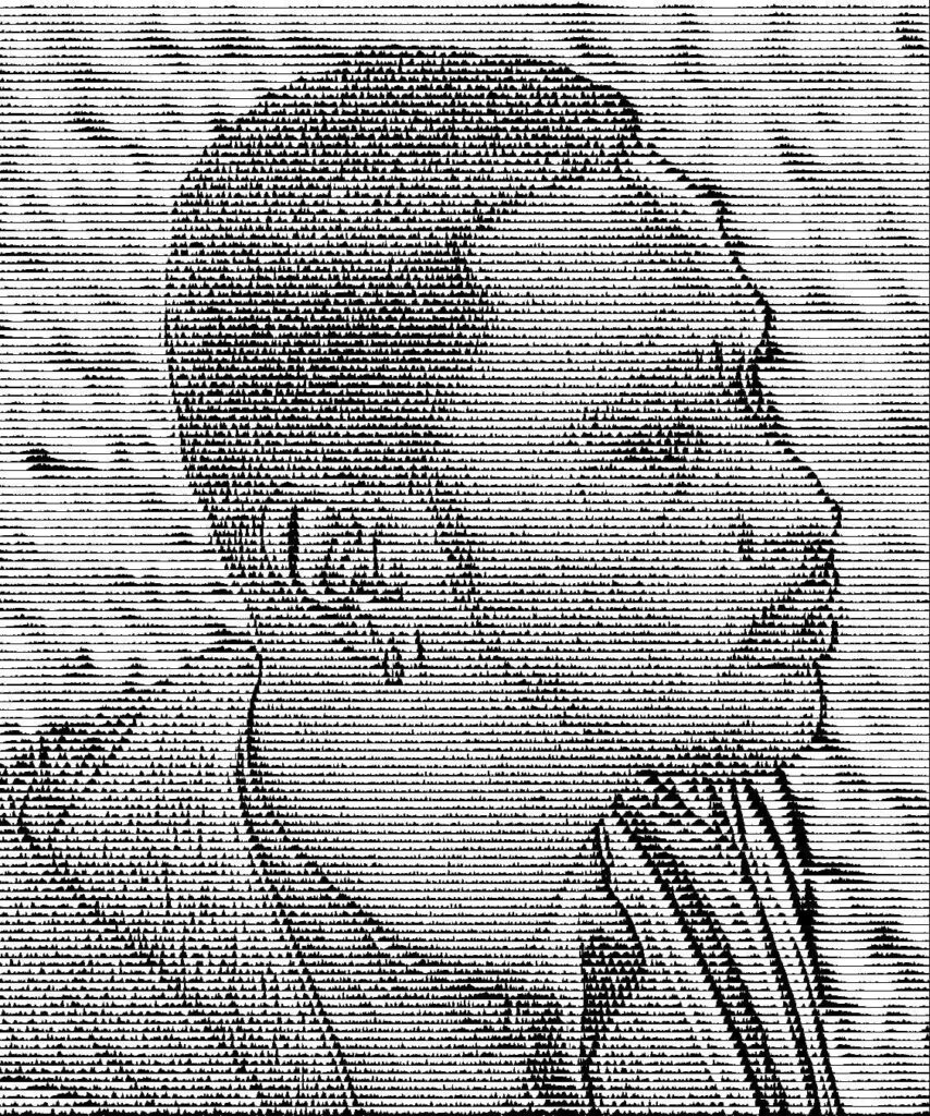 Un modèle de Negro Magnifico incognito